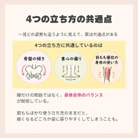 画像250
