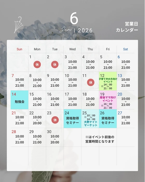 画像254