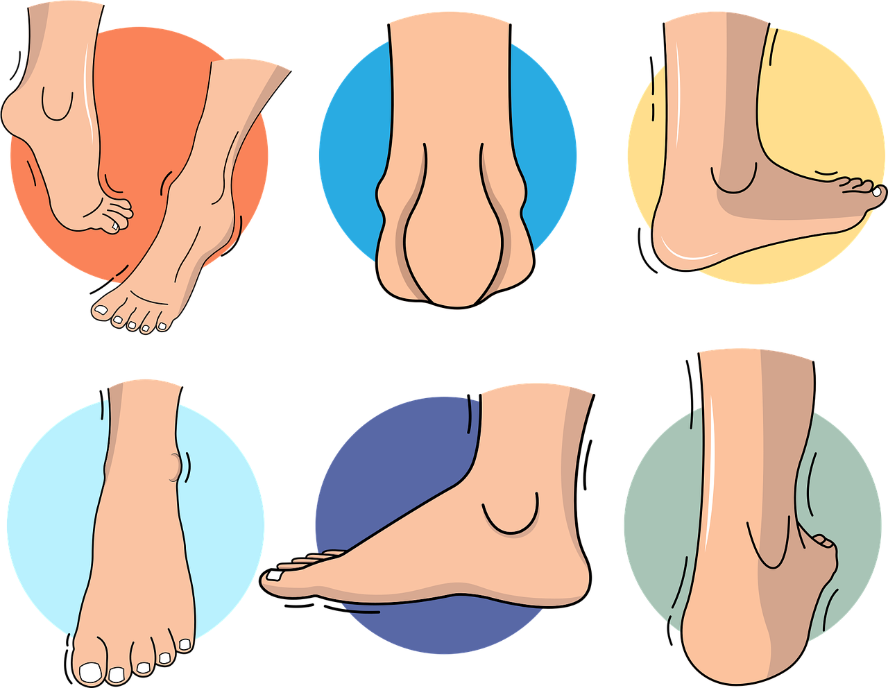 足首から始まるあなたの健康